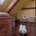 Hotel Dvur Olsiny -hotel And Horse-riding