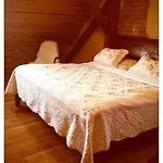 Hotel Dvur Olsiny -Hotel And Horse-Riding