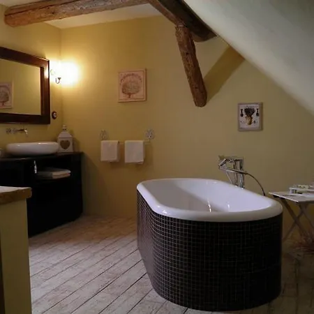Dvur Olsiny -Hotel And Horse-Riding 3* Karvina