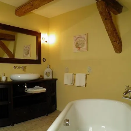 Hotel Dvur Olsiny -Hotel And Horse-Riding Karvina