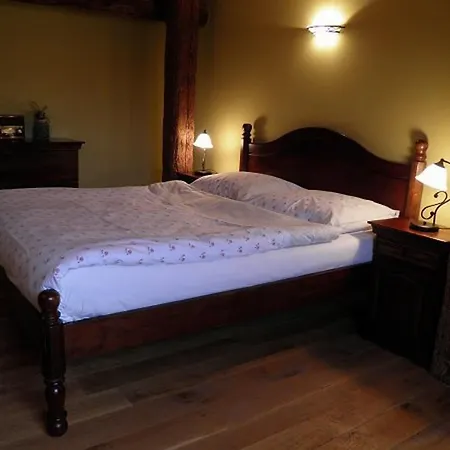 Hotel Dvur Olsiny -Hotel And Horse-Riding Karvina