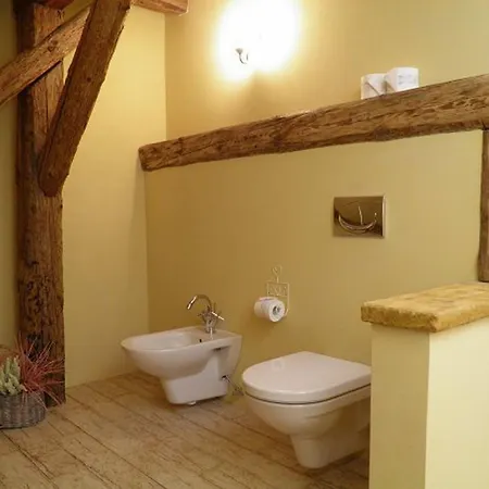 Dvur Olsiny -Hotel And Horse-Riding Karvina