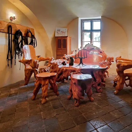 Dvur Olsiny -Hotel And Horse-Riding 3* Karvina