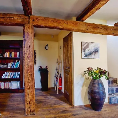 Hotel Dvur Olsiny -Hotel And Horse-Riding 3*