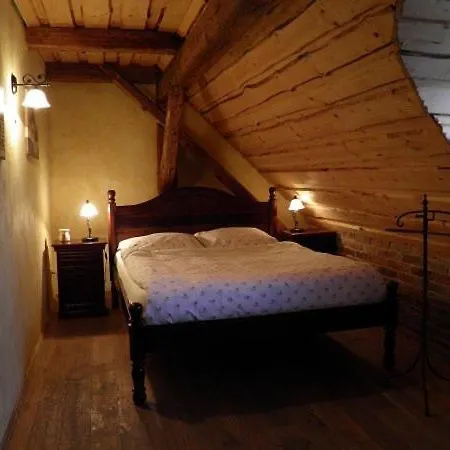 Hotel Dvur Olsiny -hotel And Horse-riding Karviná