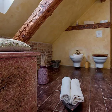 Hotel Dvur Olsiny -hotel And Horse-riding