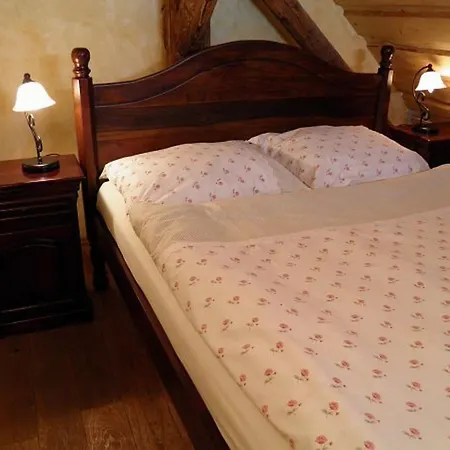 Hotel Dvur Olsiny -hotel And Horse-riding 3*