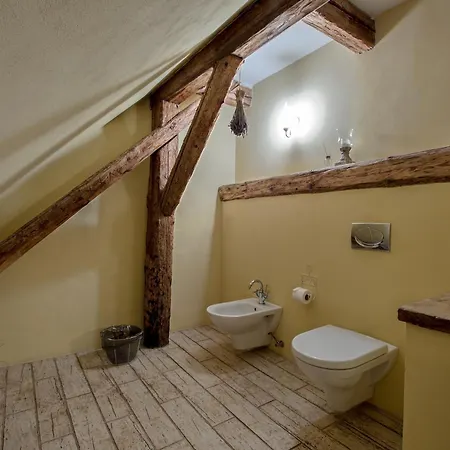 Dvur Olsiny -hotel And Horse-riding 3*