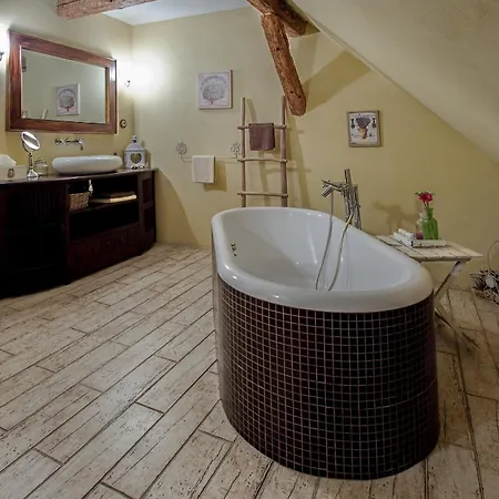Dvur Olsiny -hotel And Horse-riding Karviná