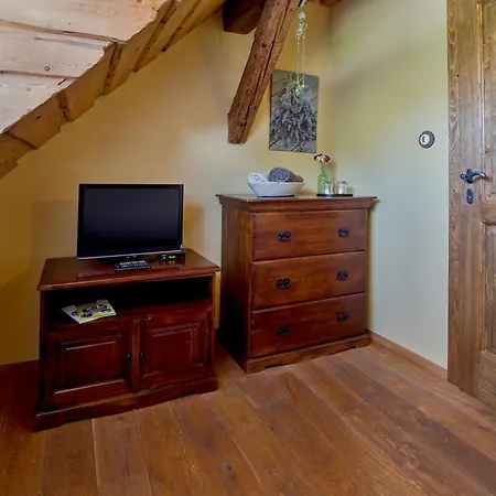 Dvur Olsiny -hotel And Horse-riding Hotel