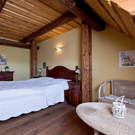 Hotel Dvur Olsiny -hotel And Horse-riding 3*