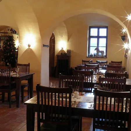 Dvur Olsiny -Hotel And Horse-Riding 3*