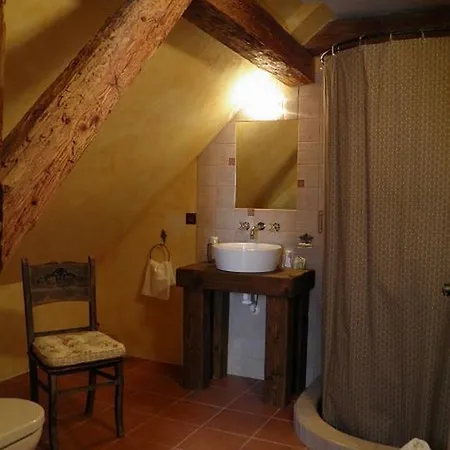 Dvur Olsiny -Hotel And Horse-Riding