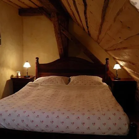 Hotel Dvur Olsiny -Hotel And Horse-Riding 3*