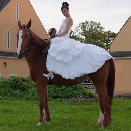 Hotel Dvur Olsiny -Hotel And Horse-Riding