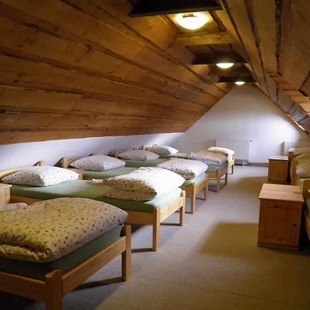 Dvur Olsiny -Hotel And Horse-Riding Karvina