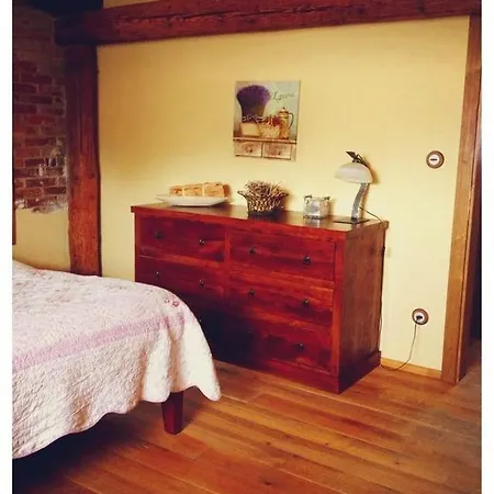 Hotel Dvur Olsiny -Hotel And Horse-Riding Karvina