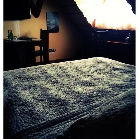 Hotel Dvur Olsiny -Hotel And Horse-Riding