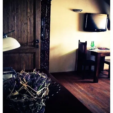 Dvur Olsiny -Hotel And Horse-Riding