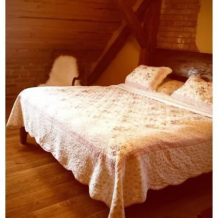 Hotel Dvur Olsiny -hotel And Horse-riding