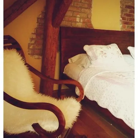 Dvur Olsiny -Hotel And Horse-Riding