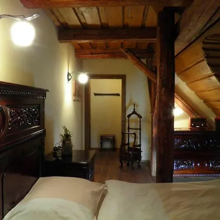 Dvur Olsiny -Hotel And Horse-Riding