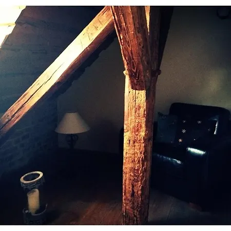 Dvur Olsiny -Hotel And Horse-Riding Karvina