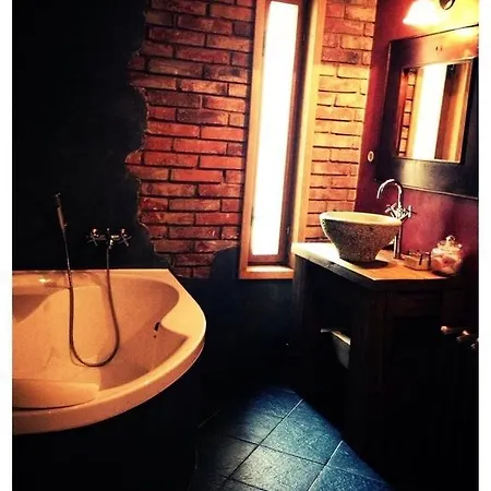 Hotel Dvur Olsiny -Hotel And Horse-Riding Karvina