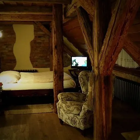 Dvur Olsiny -Hotel And Horse-Riding Karvina