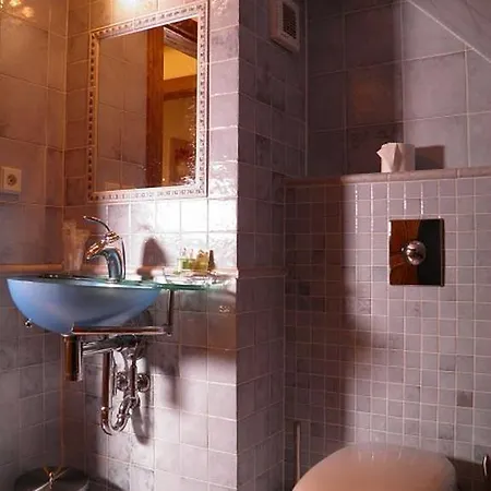 Dvur Olsiny -Hotel And Horse-Riding