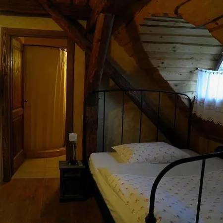 Dvur Olsiny -hotel And Horse-riding