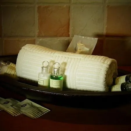 Hotel Dvur Olsiny -Hotel And Horse-Riding
