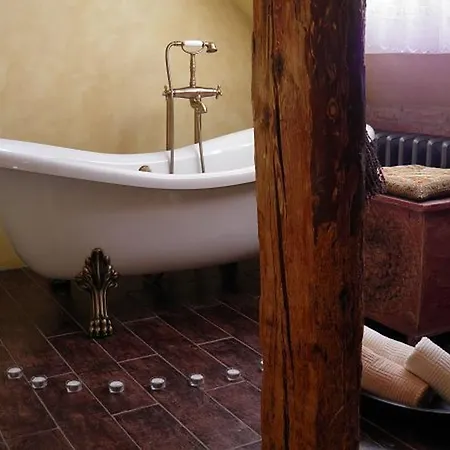 Dvur Olsiny -Hotel And Horse-Riding