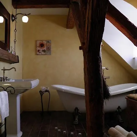 Hotel Dvur Olsiny -Hotel And Horse-Riding 3*