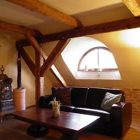 Dvur Olsiny -Hotel And Horse-Riding