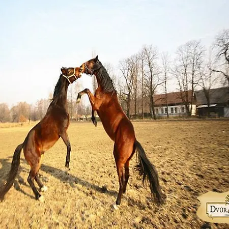 Hotel Dvur Olsiny -Hotel And Horse-Riding
