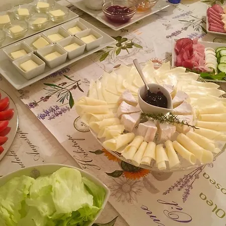 Dvur Olsiny -hotel And Horse-riding Hotel