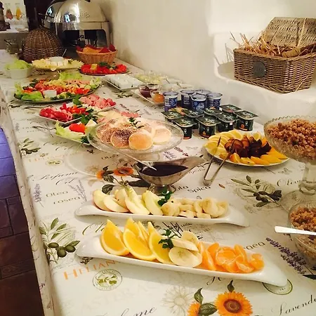 Dvur Olsiny -Hotel And Horse-Riding Hotel 3*