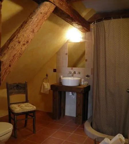 Hotel Dvur Olsiny -hotel And Horse-riding 3*