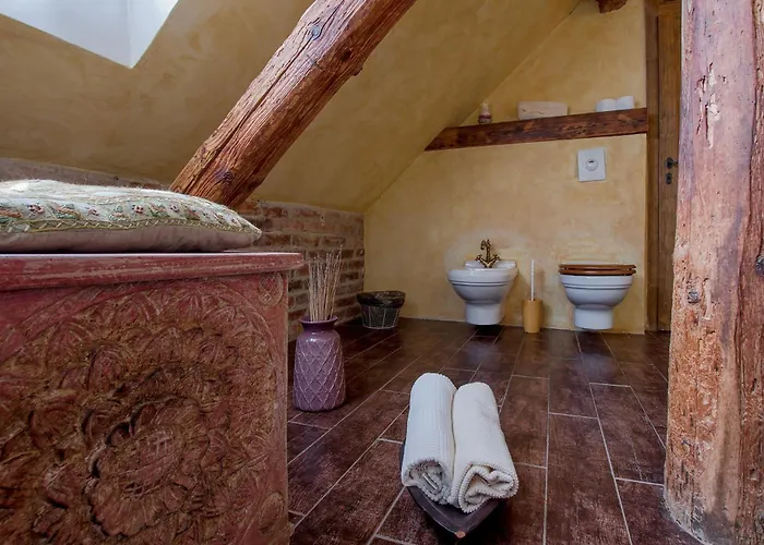Hotel Dvur Olsiny -hotel And Horse-riding