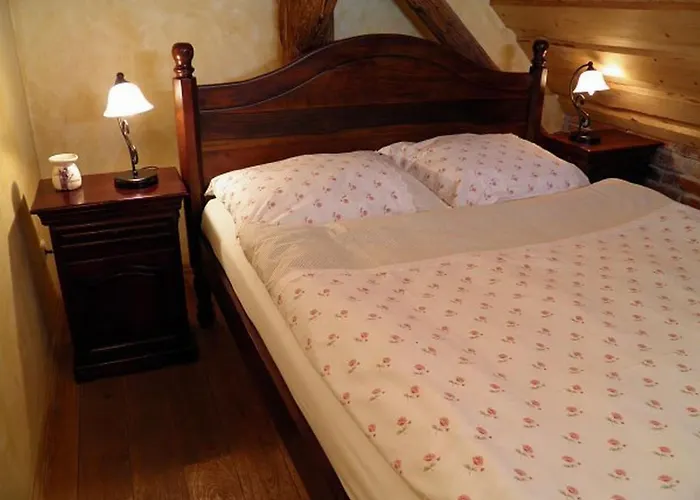 Hotel Dvur Olsiny -hotel And Horse-riding 3*