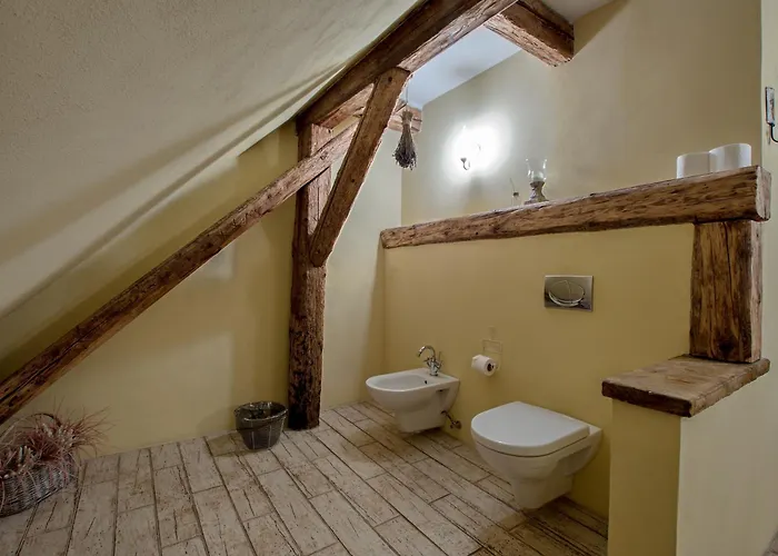 Dvur Olsiny -hotel And Horse-riding 3*