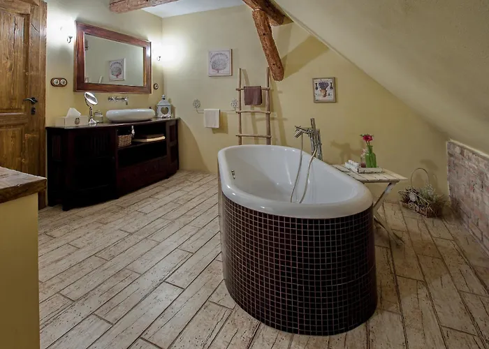 Dvur Olsiny -hotel And Horse-riding Karviná