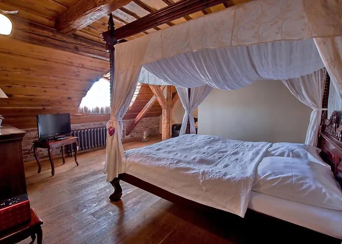 Dvur Olsiny -hotel And Horse-riding