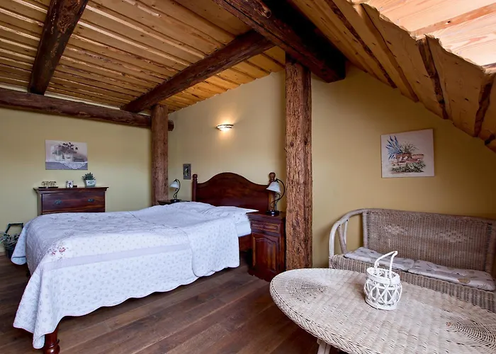 Hotel Dvur Olsiny -hotel And Horse-riding 3*