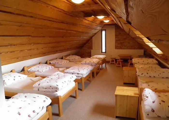Hotel Dvur Olsiny -hotel And Horse-riding Karviná