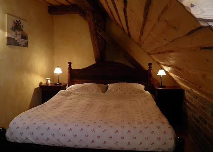 Hotel Dvur Olsiny -hotel And Horse-riding 3*