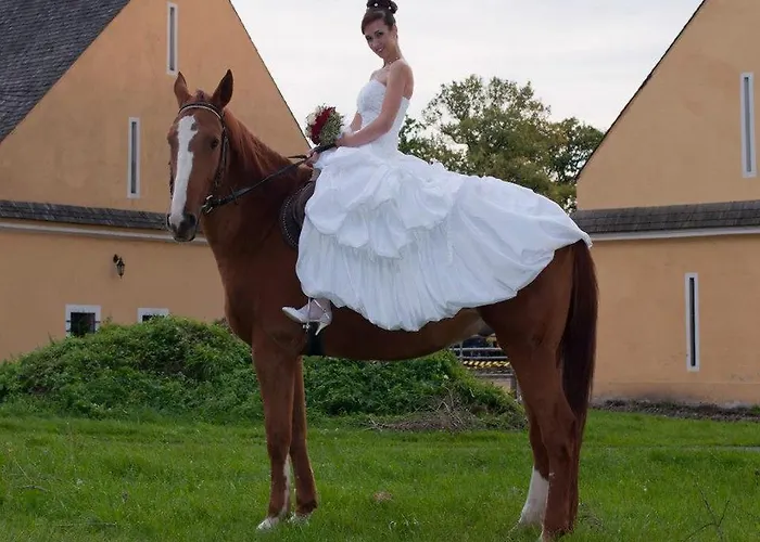 Hotel Dvur Olsiny -hotel And Horse-riding