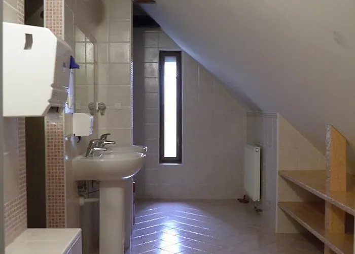 Dvur Olsiny -hotel And Horse-riding