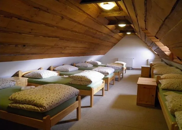 Dvur Olsiny -hotel And Horse-riding Karviná
